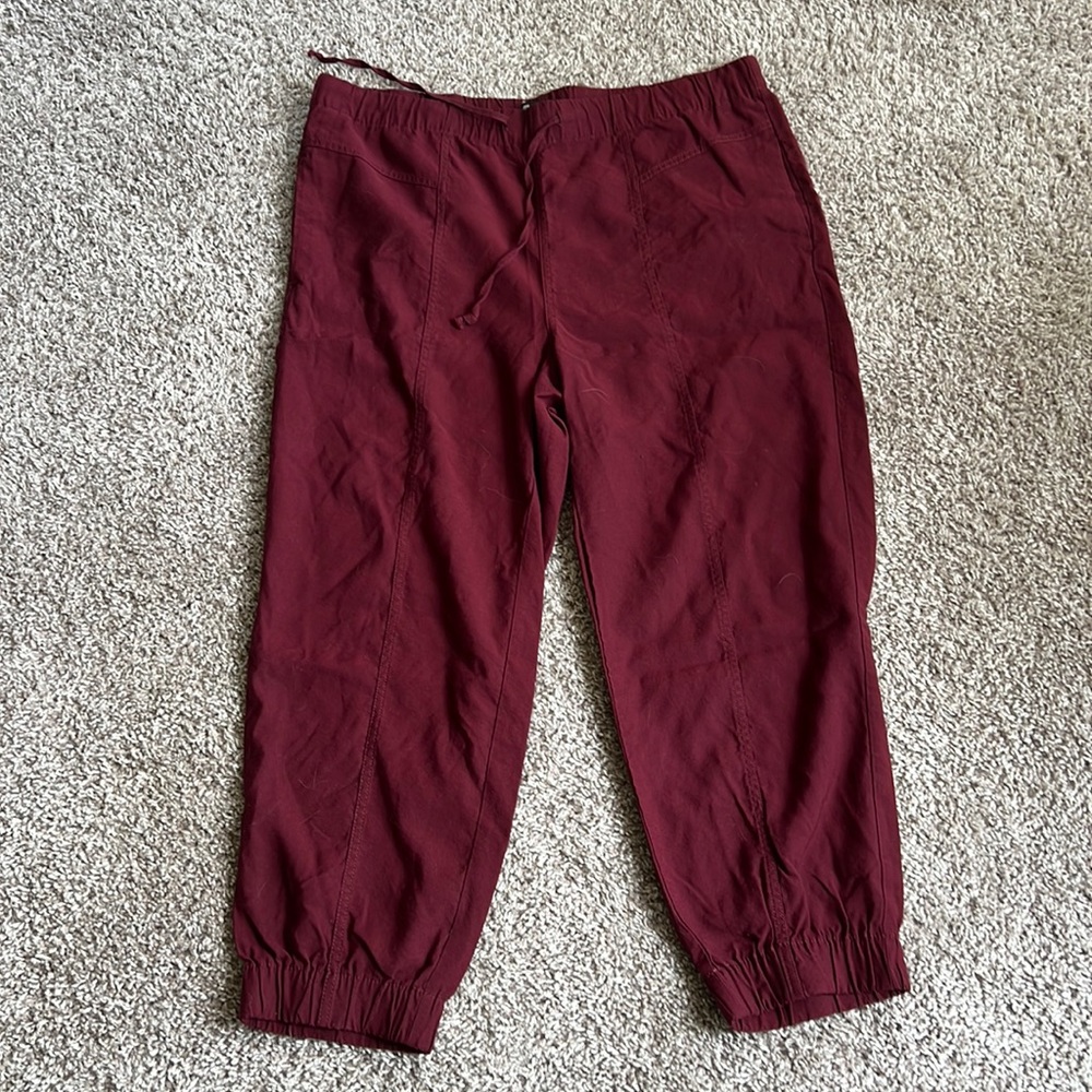 Madewell joggers